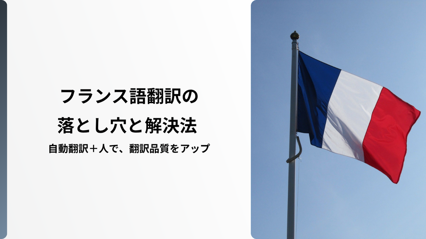 フランス語翻訳の落とし穴と解決法 自動翻訳＋人で、翻訳品質をアッ